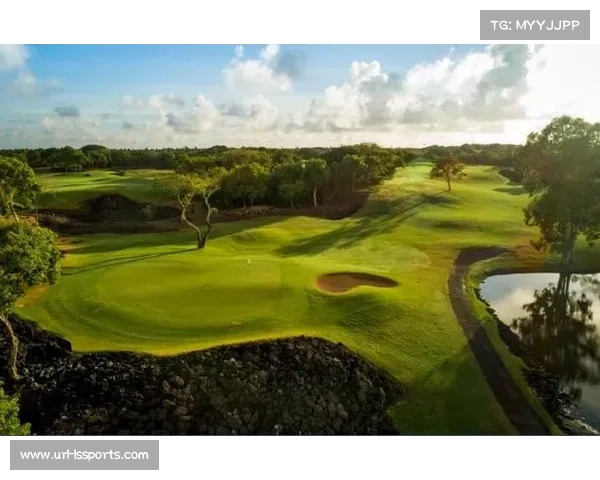 毛里求斯公开赛经济效应:旅游、赞助与非洲高尔夫市场崛起