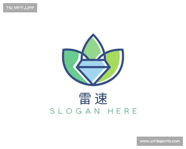 介绍雷速